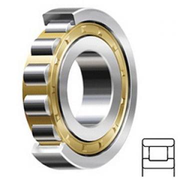 3.346 Inch | 85 Millimeter x 7.087 Inch | 180 Millimeter x 1.614 Inch | 41 Millimeter  SKF N 317 ECM/C3 Rodamientos de rodillos cilíndricos