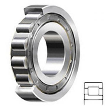 5.512 Inch | 140 Millimeter x 11.811 Inch | 300 Millimeter x 2.441 Inch | 62 Millimeter  SKF NJ 328 ECJ/C3 Rodamientos de rodillos cilíndricos