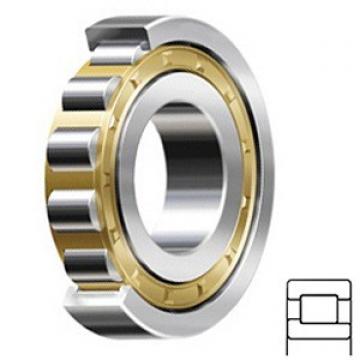 2.559 Inch | 65 Millimeter x 5.512 Inch | 140 Millimeter x 1.299 Inch | 33 Millimeter  SKF NJ 313 ECM/C3 Rodamientos de rodillos cilíndricos