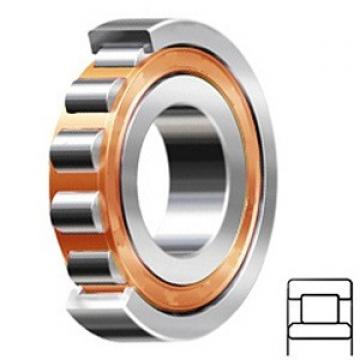 1.772 Inch | 45 Millimeter x 2.953 Inch | 75 Millimeter x 0.63 Inch | 16 Millimeter  SKF NU 1009 ECP/C3 Rodamientos de rodillos cilíndricos